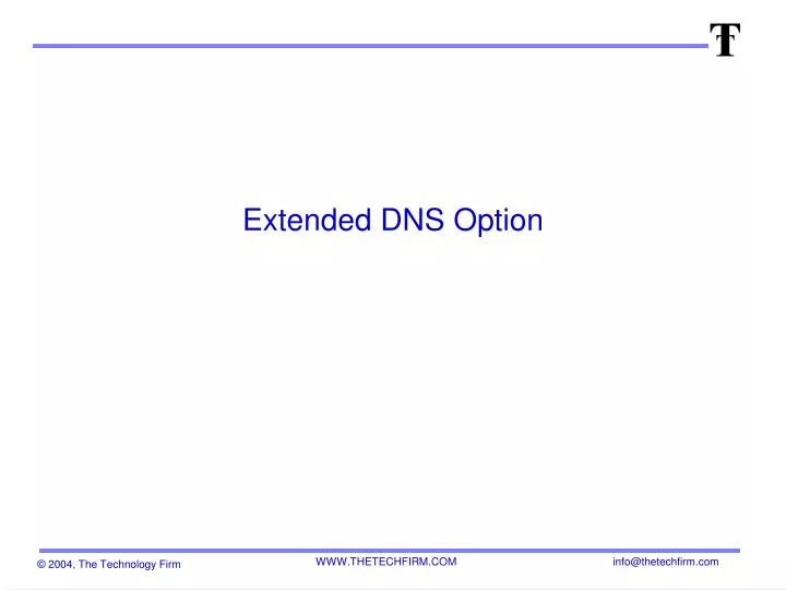 extended dns option