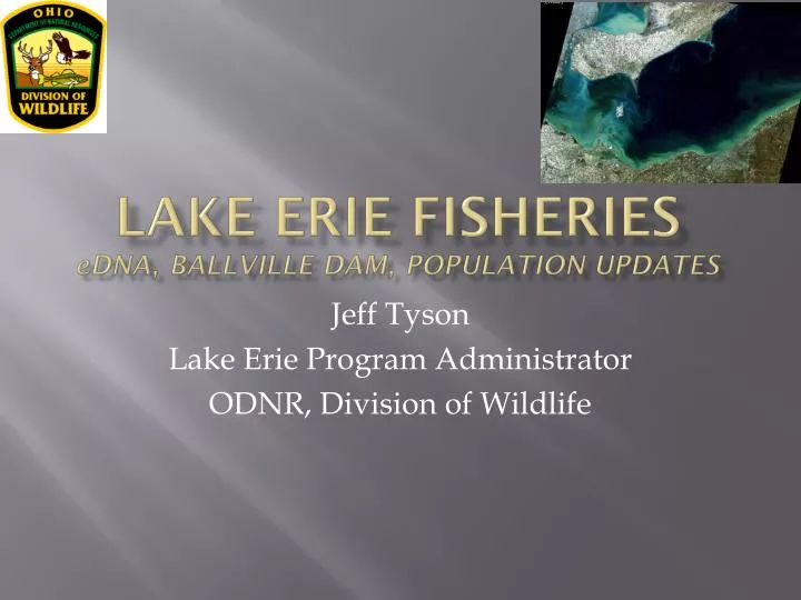 lake erie fisheries edna ballville dam population updates