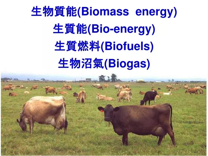 biomass energy bio energy biofuels biogas