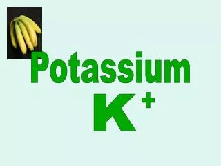 Potassium