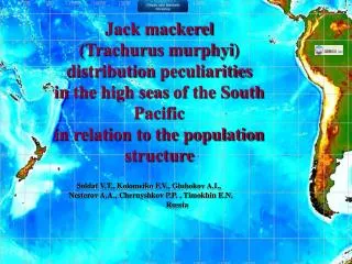 Jack mackerel ( Trachurus murphyi )