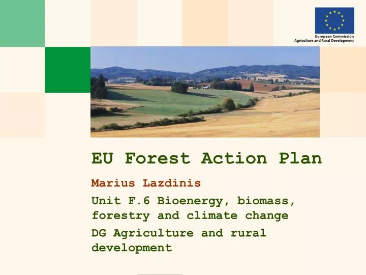 eu forest action plan