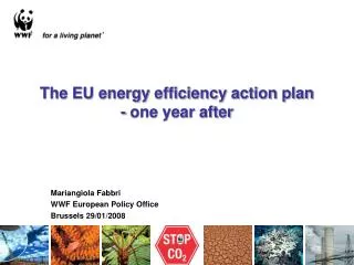 The EU energy efficiency action plan - one year after