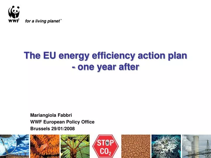 the eu energy efficiency action plan one year after