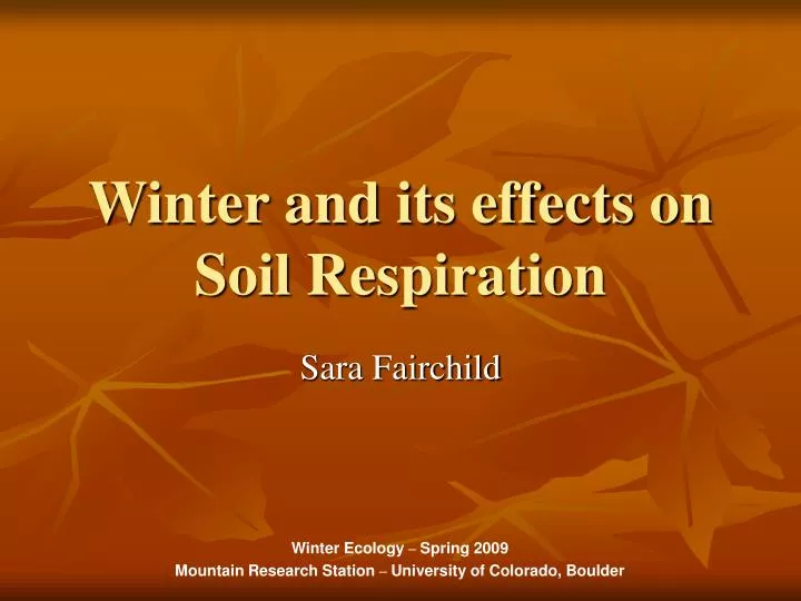 winter and its effects on soil respiration
