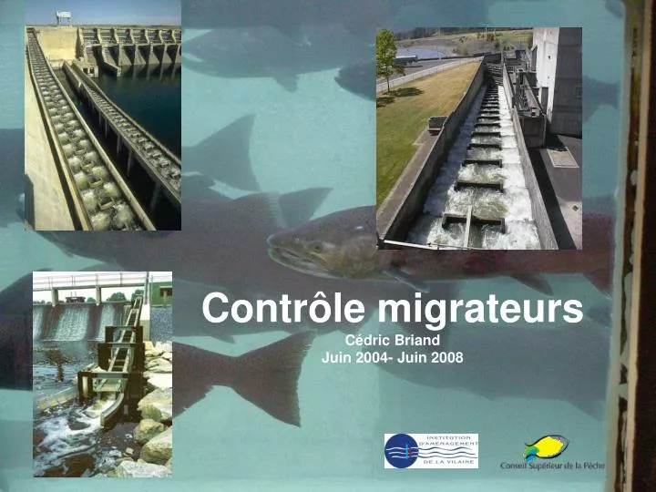 contr le migrateurs c dric briand juin 2004 juin 2008