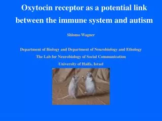Oxytocin receptor as a potential link between the immune system and autism