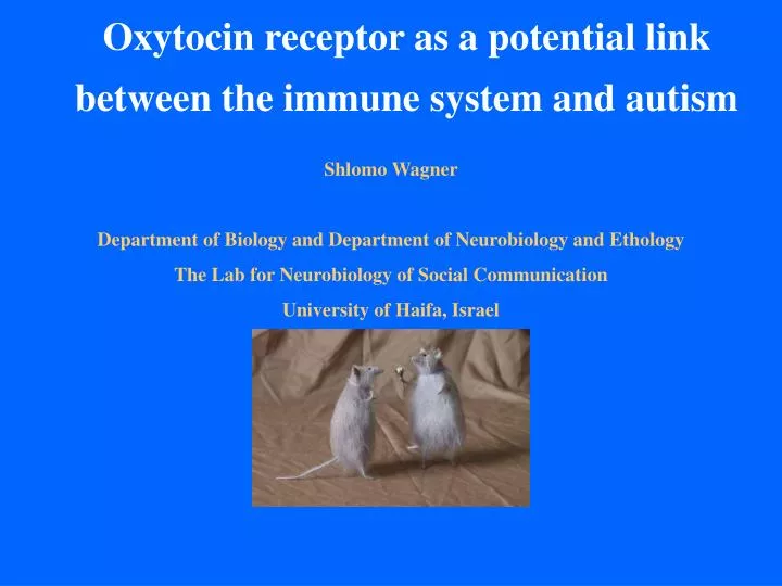 oxytocin receptor as a potential link between the immune system and autism