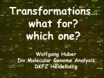 Transformations… what for? which one? - slide 1