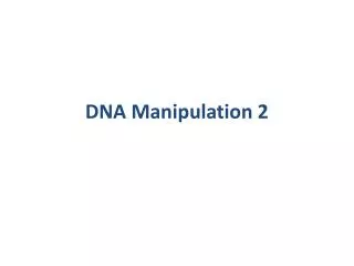 DNA Manipulation 2