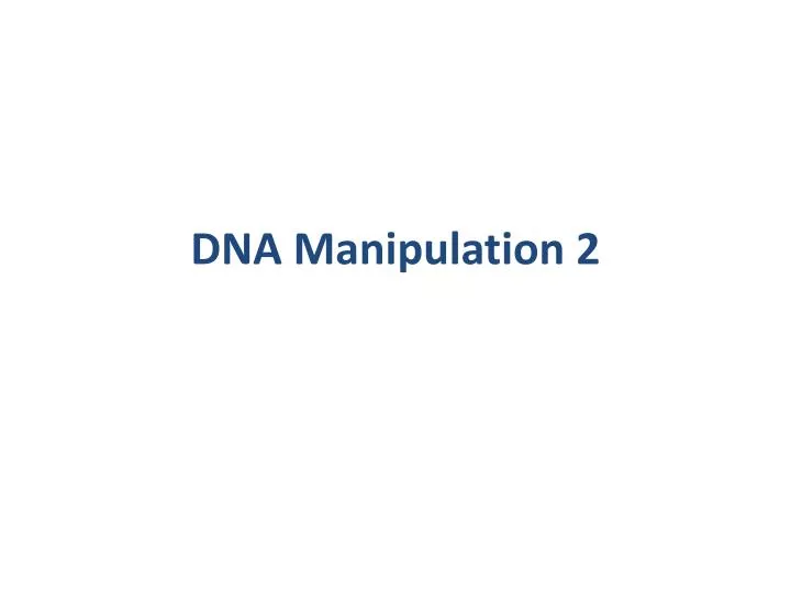dna manipulation 2