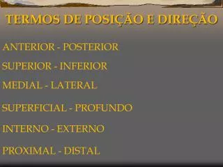 termos de posi o e dire o