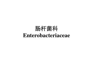 enterobacteriaceae