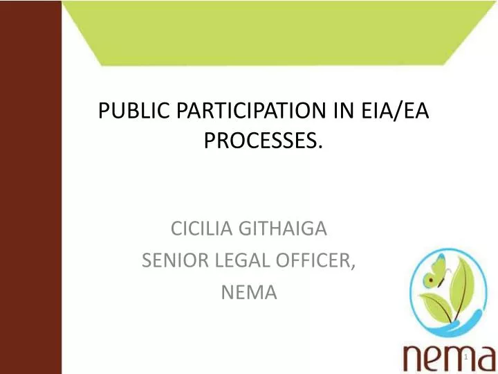 public participation in eia ea processes