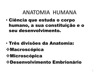 anatomia humana
