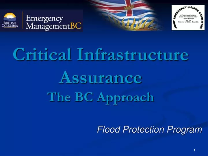 critical infrastructure assurance the bc approach
