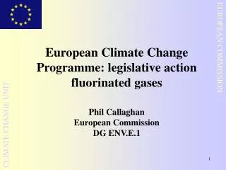 European Climate Change Programme: legislative action fluorinated gases