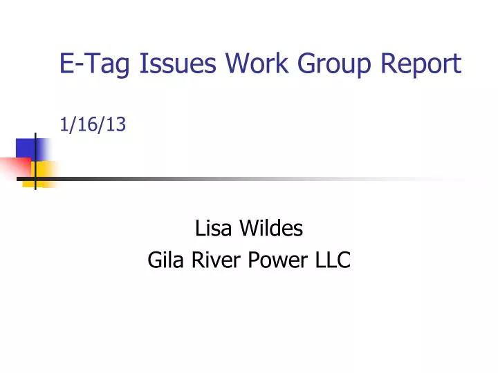 e tag issues work group report 1 16 13