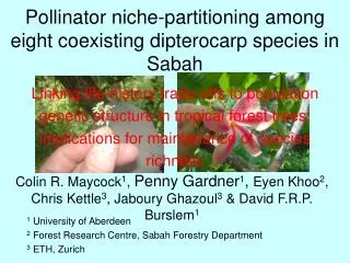 Pollinator niche-partitioning among eight coexisting dipterocarp species in Sabah