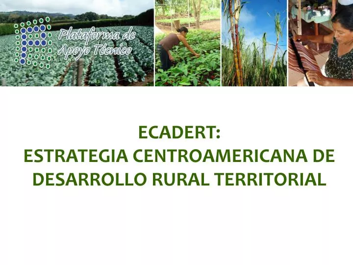 ecadert estrategia centroamericana de desarrollo rural territorial