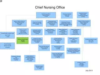 Chief Nursing Officer Barbara Mclean (1 WTE)
