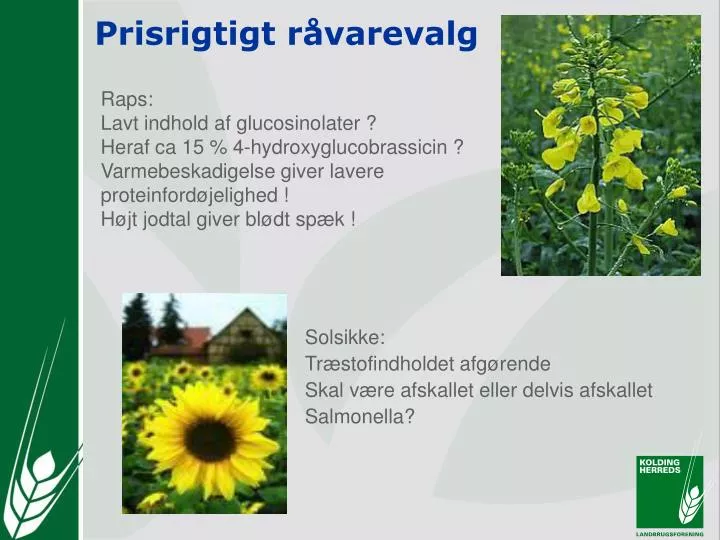 prisrigtigt r varevalg