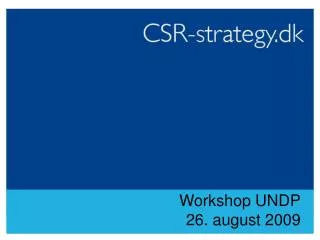 workshop undp 26 august 2009