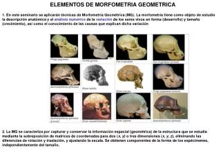 ELEMENTOS DE MORFOMETRIA GEOMETRICA