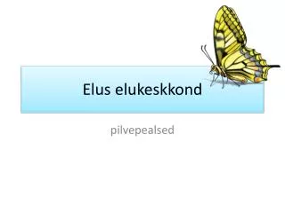 elus elukeskkond