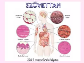 sz vettan
