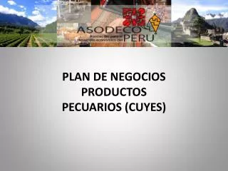 plan de negocios productos pecuarios cuyes