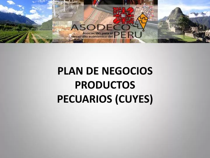 plan de negocios productos pecuarios cuyes