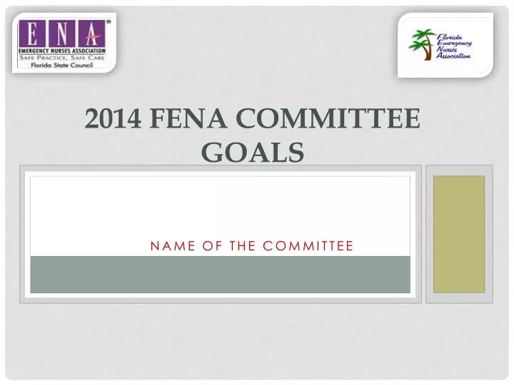 2014 fena committee goals