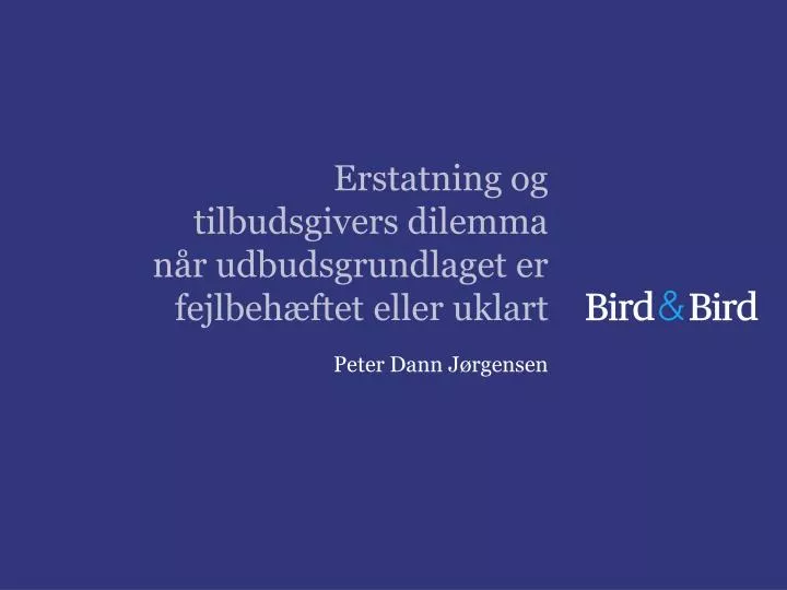 erstatning og tilbudsgivers dilemma n r udbudsgrundlaget er fejlbeh ftet eller uklart