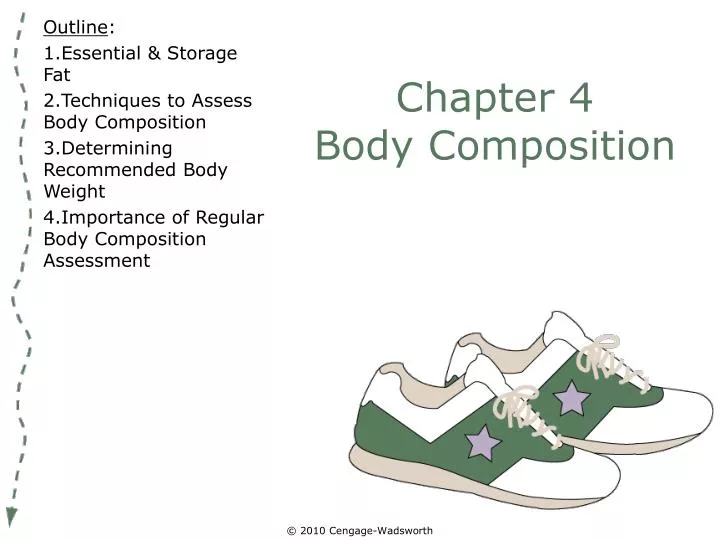 chapter 4 body composition