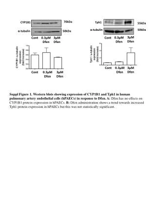 Tph1