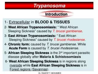 Trypanosoma