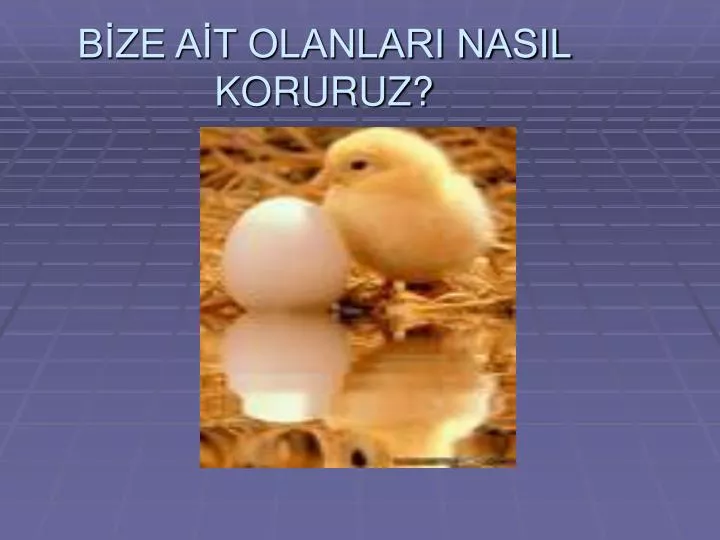 b ze a t olanlari nasil koruruz