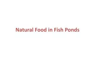 Natural Food in Fish Ponds
