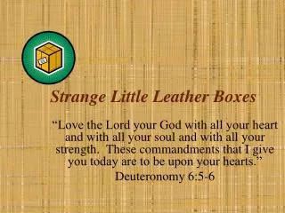 Strange Little Leather Boxes