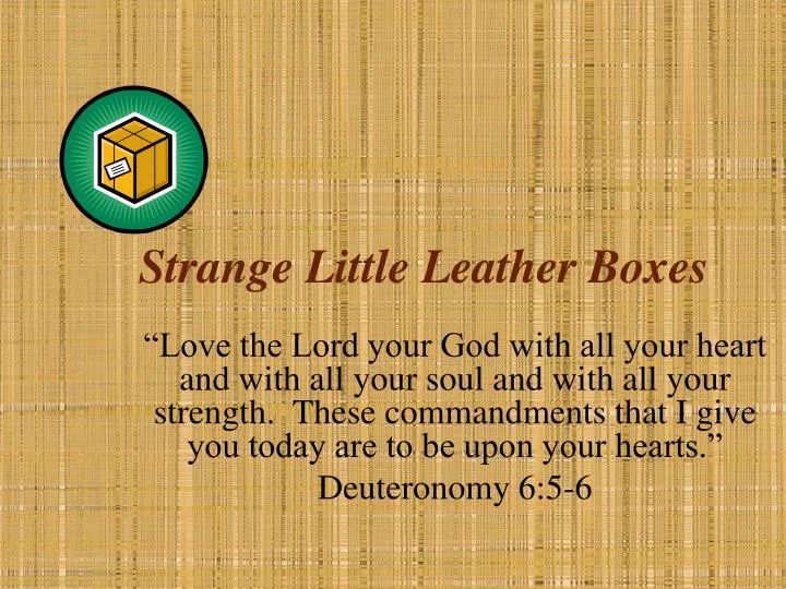 strange little leather boxes