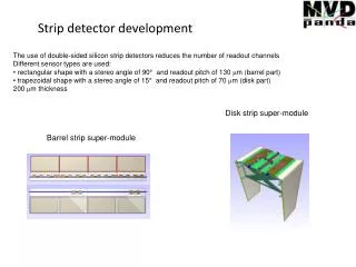 Strip detector development