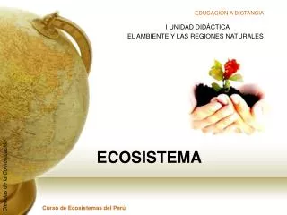 ecosistema