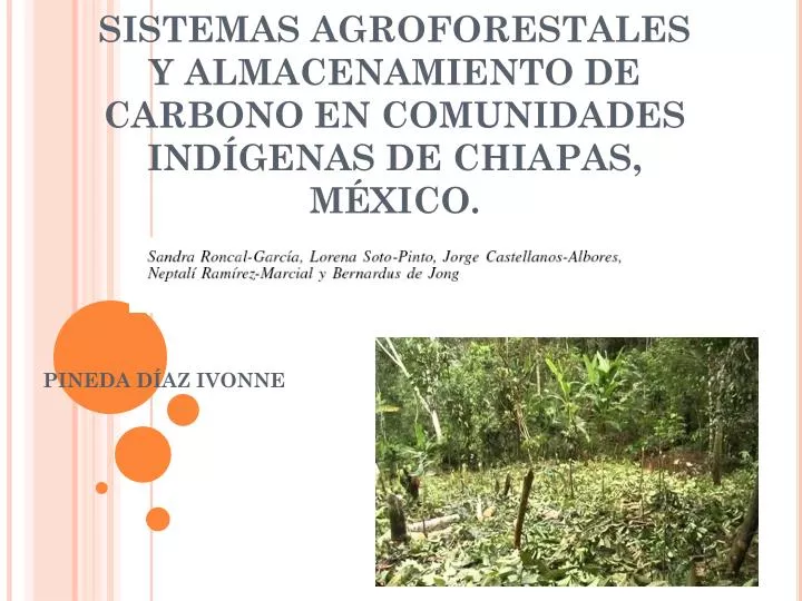 sistemas agroforestales y almacenamiento de carbono en comunidades ind genas de chiapas m xico