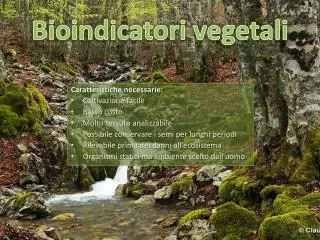 bioindicatori vegetali