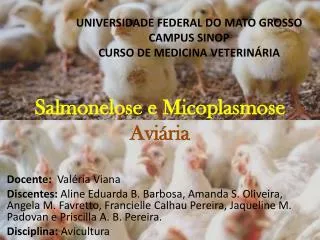 salmonelose e micoplasmose avi ria