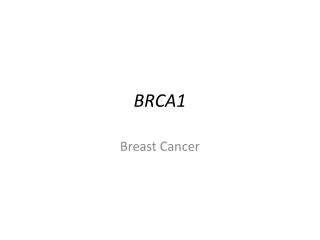 BRCA1