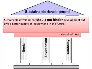 Different interpretations of sustainable development