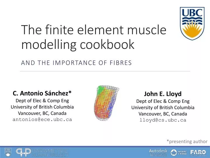 the finite element muscle modelling cookbook