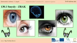 130 1 smysly zrak